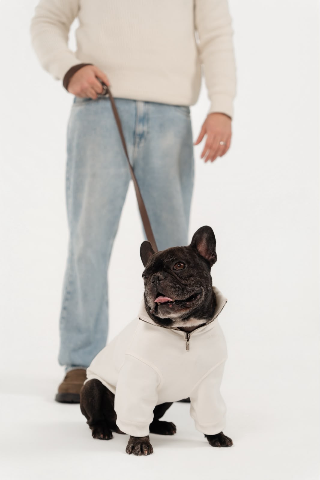 Buldogue francês de moletom Pure Core em passeio