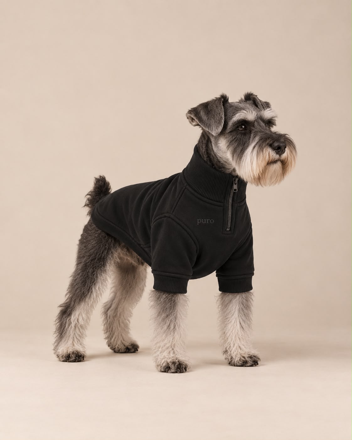 Schnauzer vestindo o moletom Pure Core preto