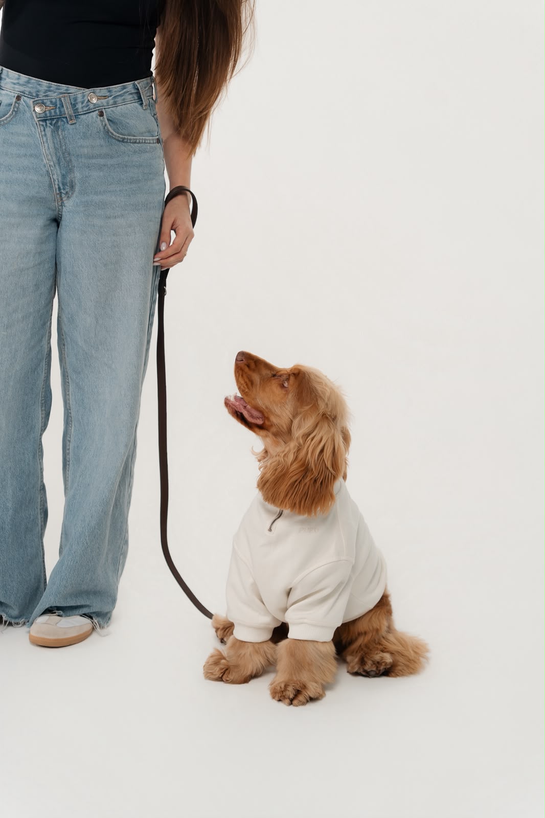 Cocker spaniel de moletom Pure Core ao lado da tutora