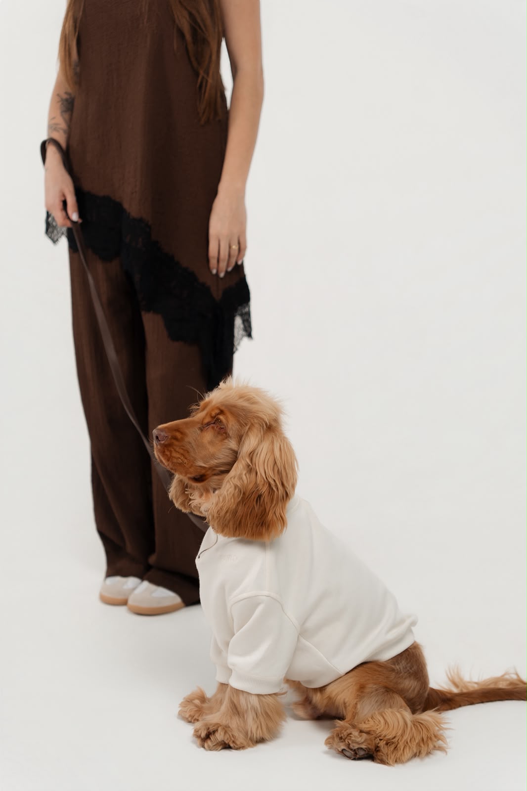 Cocker spaniel sentado de moletom Pure Core off-white ao lado da tutora