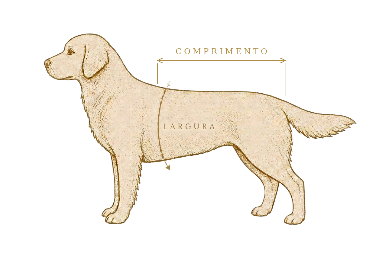Ilustração de cão indicando onde medir comprimento e largura